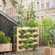Urban gardening ideas