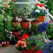 small gardens