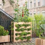 Urban gardening ideas