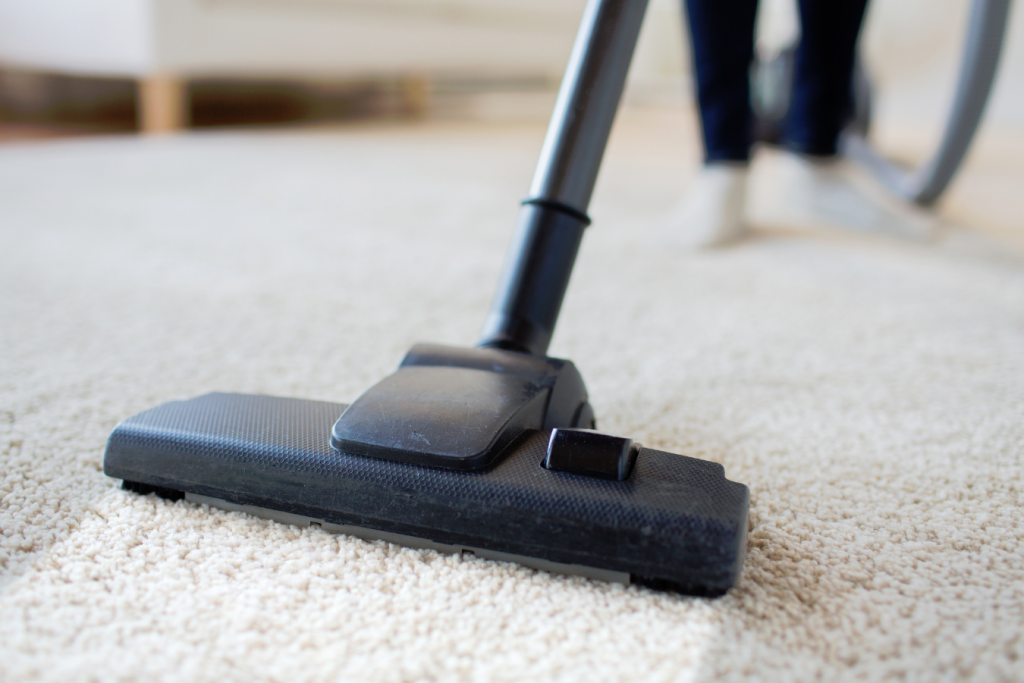 How to Care for Carpet