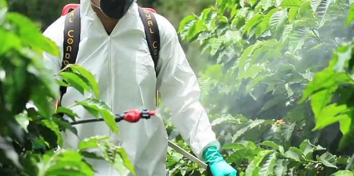spray pesticides safely