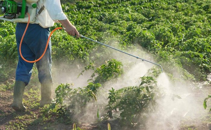 spray pesticides safely