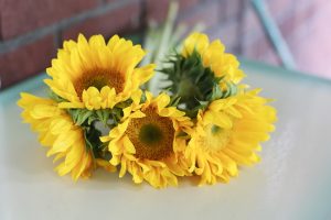How Long Do Sunflowers Last When Cut