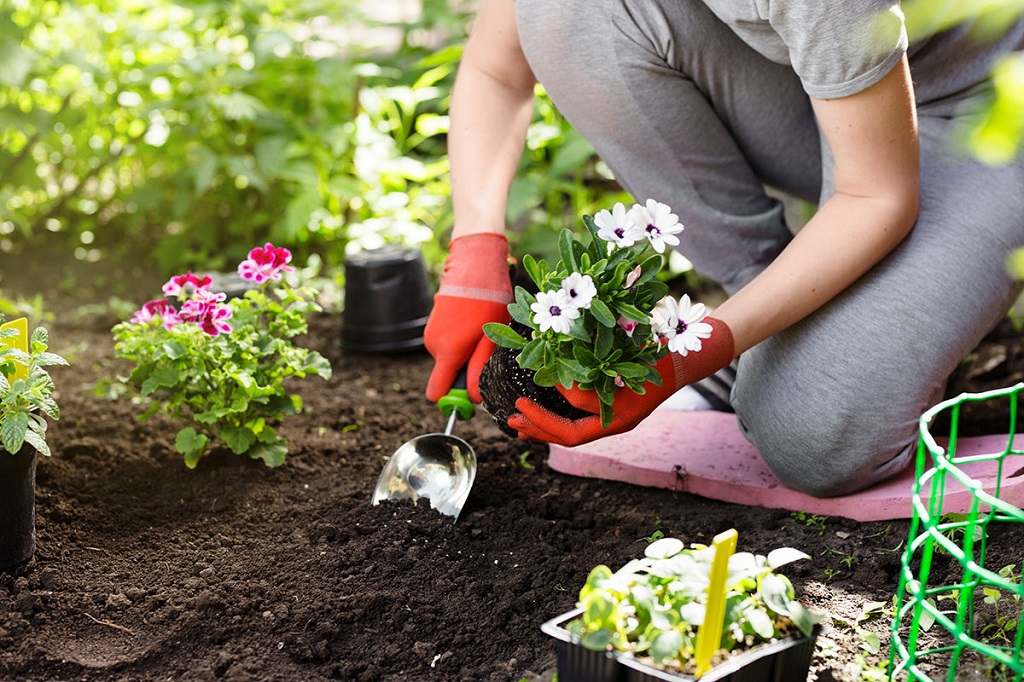 Plant Carefully to do your first garden