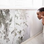 Importance of Home Mold and Allergen Testing