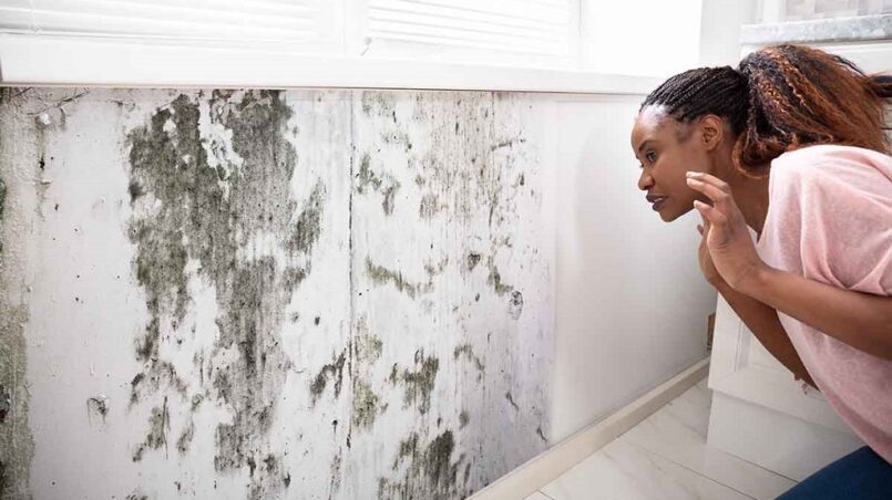 Importance of Home Mold and Allergen Testing