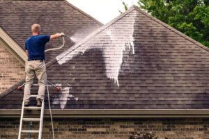 Why You Should Clean Your Shingle Roof