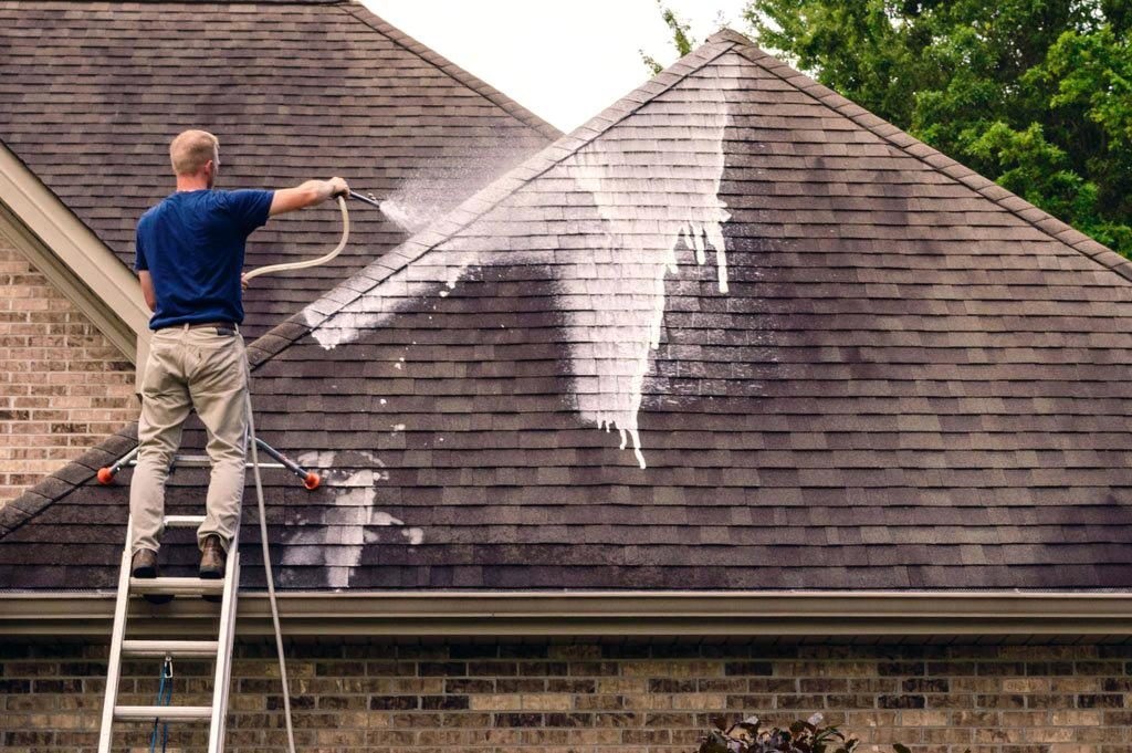 Why You Should Clean Your Shingle Roof