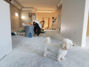 11 Reasons to Consider Remodeling Your Home