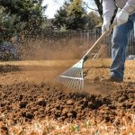 Homeowner spreading dark topdressing material over compacted clay lawn patch with rake for soil improvement