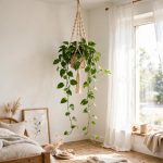 Corner display: Pothos trailing from a macrame hanger in a bright bedroom corner